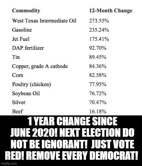 Next election do not be ignorant! Vote RED! Remove Every Democrat! | image tagged in stupid liberals,stupidity,morons,idiots,cowards,biden | made w/ Imgflip meme maker