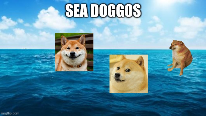Ocean | SEA DOGGOS | image tagged in ocean | made w/ Imgflip meme maker