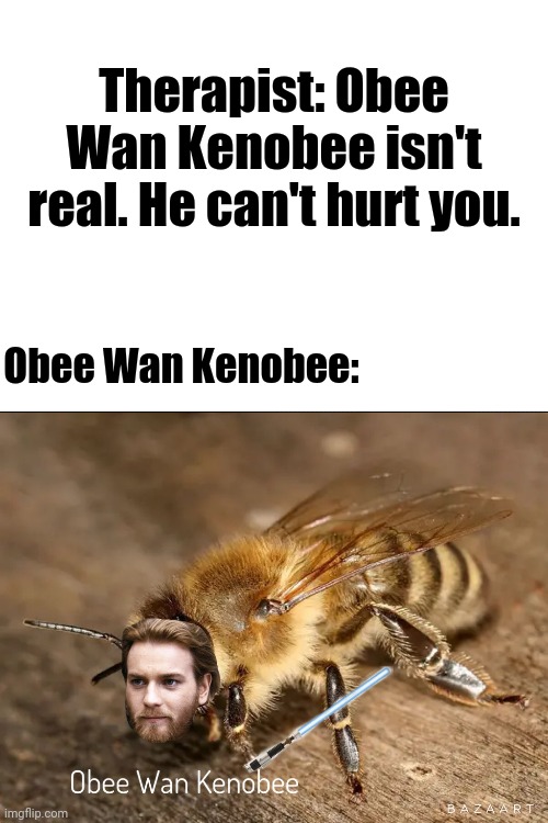 The Obee Wan Kenobee | Therapist: Obee Wan Kenobee isn't real. He can't hurt you. Obee Wan Kenobee: | image tagged in blank white template,obi wan kenobi,funny,memes,funny memes,funny meme | made w/ Imgflip meme maker