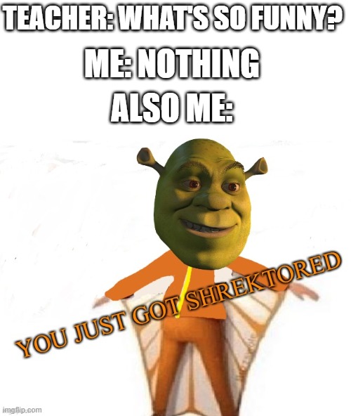 S H R E K T O R | TEACHER: WHAT'S SO FUNNY? ME: NOTHING; ALSO ME: | image tagged in you just got shrektored,you just got vectored,vector,memes,despicable me,why are you reading this | made w/ Imgflip meme maker