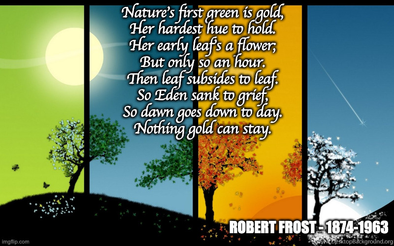 Nothing Gold Can Stay | Nature’s first green is gold,
Her hardest hue to hold.
Her early leaf’s a flower;
But only so an hour.
Then leaf subsides to leaf.
So Eden sank to grief,
So dawn goes down to day.
Nothing gold can stay. ROBERT FROST - 1874-1963 | image tagged in the four seasons,robert frost | made w/ Imgflip meme maker