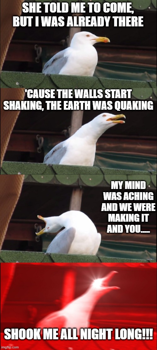 AC/DC | SHE TOLD ME TO COME, BUT I WAS ALREADY THERE; 'CAUSE THE WALLS START SHAKING, THE EARTH WAS QUAKING; MY MIND WAS ACHING AND WE WERE MAKING IT
AND YOU..... SHOOK ME ALL NIGHT LONG!!! | image tagged in memes,inhaling seagull | made w/ Imgflip meme maker