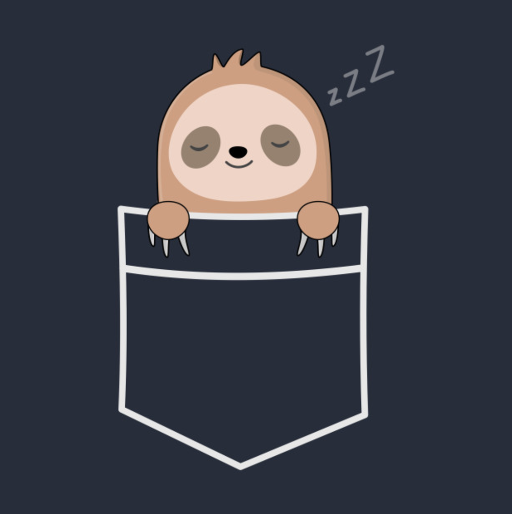 Anime sloth pocket Blank Meme Template