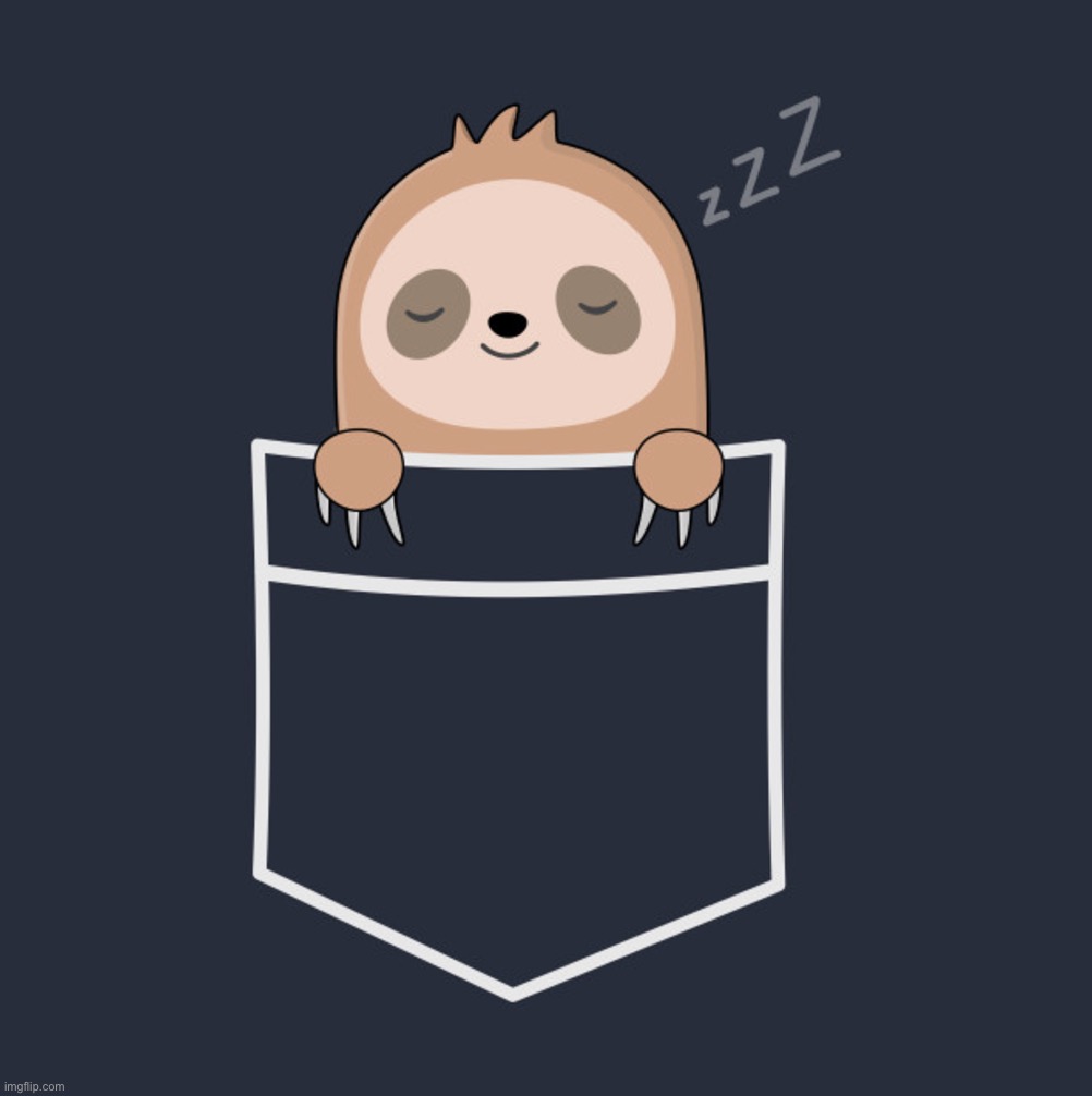 Image tagged in anime sloth pocket - Imgflip