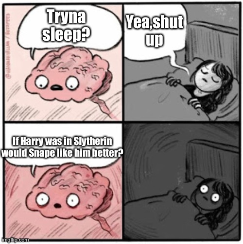 ??? | Yea,shut up; Tryna sleep? If Harry was in Slytherin would Snape like him better? | image tagged in brain before sleep | made w/ Imgflip meme maker