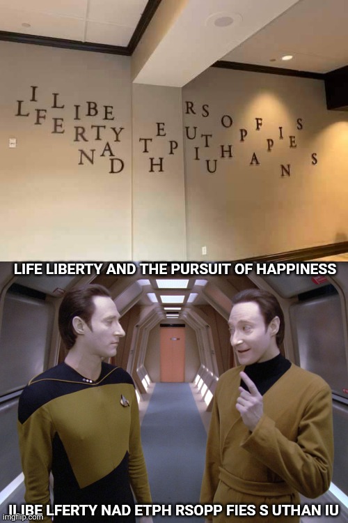 Data, Lore, and the pursuit of happiness |  LIFE LIBERTY AND THE PURSUIT OF HAPPINESS; ILIBE LFERTY NAD ETPH RSOPP FIES S UTHAN IU | image tagged in data lore,nonsense,gibberish | made w/ Imgflip meme maker