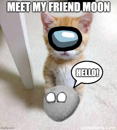 Cute Cat Meme | MEET MY FRIEND MOON; HELLO! | image tagged in memes,cute cat | made w/ Imgflip meme maker