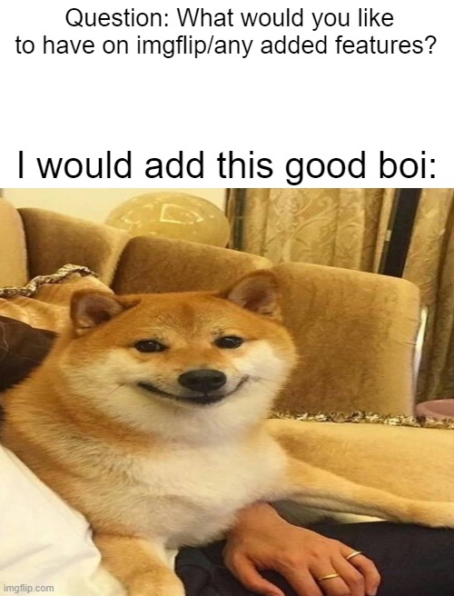 Question: What would you like to have on imgflip/any added features? I would add this good boi: | image tagged in blank white template | made w/ Imgflip meme maker