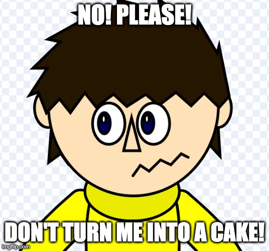 funi | NO! PLEASE! DON'T TURN ME INTO A CAKE! | image tagged in cake,funi,oc | made w/ Imgflip meme maker