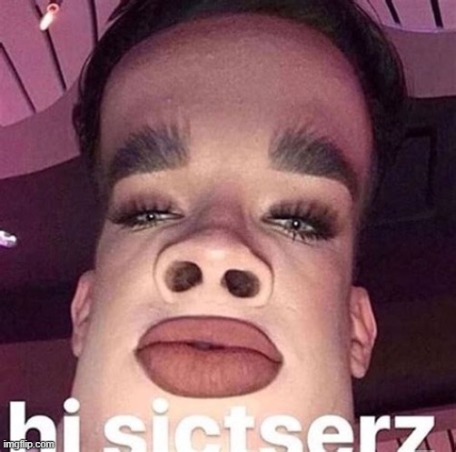 Hi sictserz | image tagged in hi sictserz | made w/ Imgflip meme maker