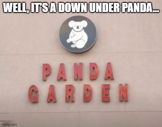 Throw Another on the Barbie | WELL, IT'S A DOWN UNDER PANDA... | image tagged in you had one job | made w/ Imgflip meme maker