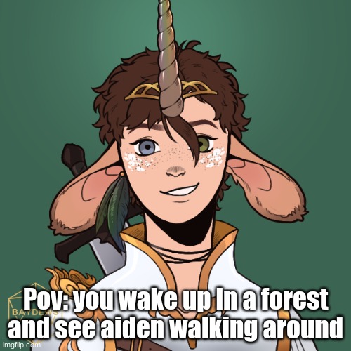 Pov: you wake up in a forest and see aiden walking around | image tagged in beans oc aiden | made w/ Imgflip meme maker