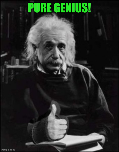 Einstein thumbs up | PURE GENIUS! | image tagged in einstein thumbs up | made w/ Imgflip meme maker
