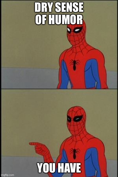 spiderman humor | DRY SENSE OF HUMOR YOU HAVE | image tagged in spiderman humor | made w/ Imgflip meme maker