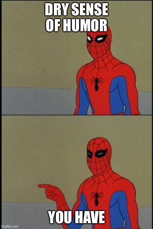 spiderman humor | DRY SENSE OF HUMOR; YOU HAVE | image tagged in spiderman humor | made w/ Imgflip meme maker