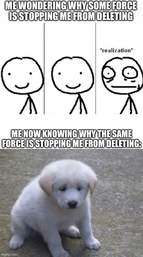 E | ME WONDERING WHY SOME FORCE IS STOPPING ME FROM DELETING; ME NOW KNOWING WHY THE SAME FORCE IS STOPPING ME FROM DELETING: | image tagged in realization,memes,blank transparent square,sad sad doggo ' | made w/ Imgflip meme maker