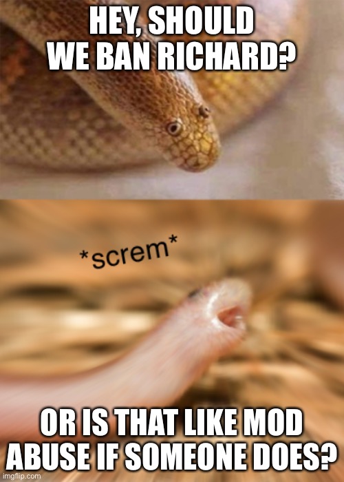Snek screm | HEY, SHOULD WE BAN RICHARD? OR IS THAT LIKE MOD ABUSE IF SOMEONE DOES? | image tagged in snek screm | made w/ Imgflip meme maker