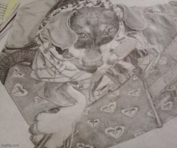Roxy Purse Dog MD2020.com | image tagged in roxy,anubis,rama,drawing,dogs,mad dog | made w/ Imgflip meme maker