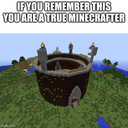 IF YOU REMEMBER THIS YOU ARE A TRUE MINECRAFTER | image tagged in popularmmos,memes,mine craft | made w/ Imgflip meme maker