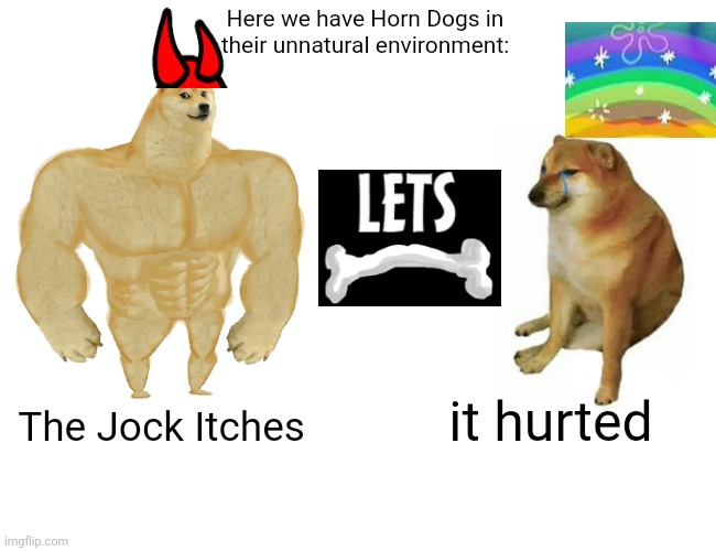 Horn Dogs in their unnatural environment | Here we have Horn Dogs in their unnatural environment:; it hurted; The Jock Itches | image tagged in memes,buff doge vs cheems,lets bone,lgbtq,gay,homosexual | made w/ Imgflip meme maker