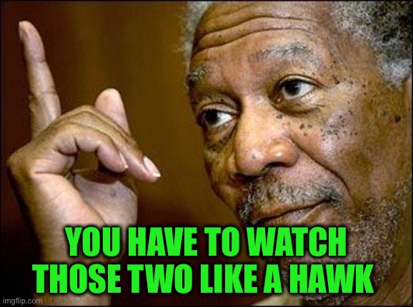 This Morgan Freeman | YOU HAVE TO WATCH THOSE TWO LIKE A HAWK | image tagged in this morgan freeman | made w/ Imgflip meme maker