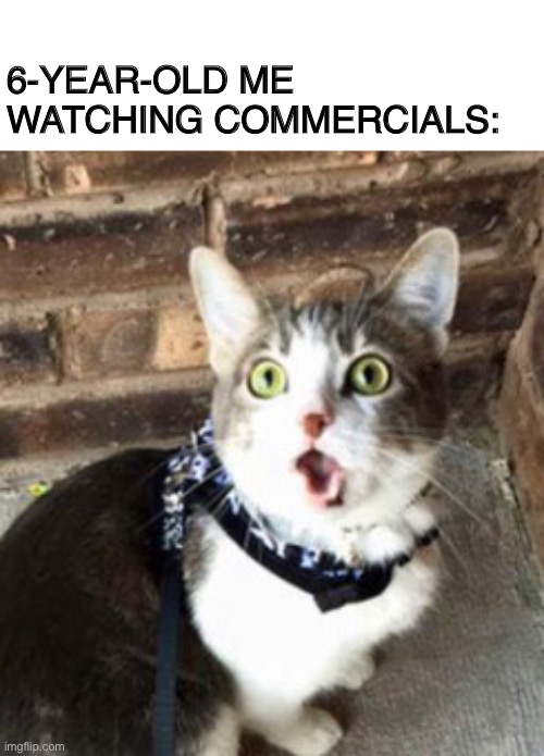 Cat mem | 6-YEAR-OLD ME WATCHING COMMERCIALS: | image tagged in cats,funny memes | made w/ Imgflip meme maker