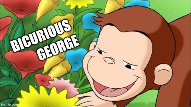 High Quality curious george LGBTQ2i+ Bicurious george Blank Meme Template