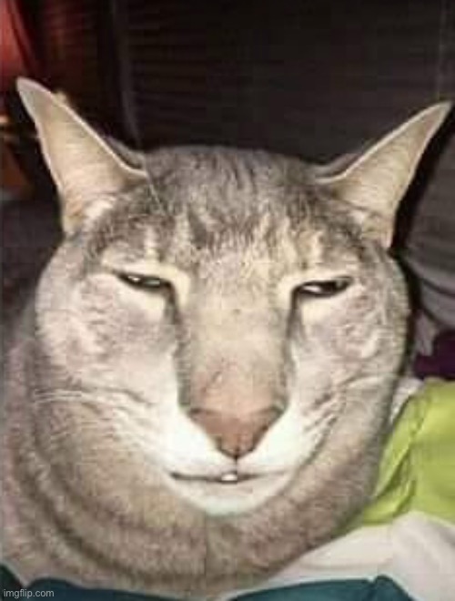 (4+ | made w/ Imgflip meme maker