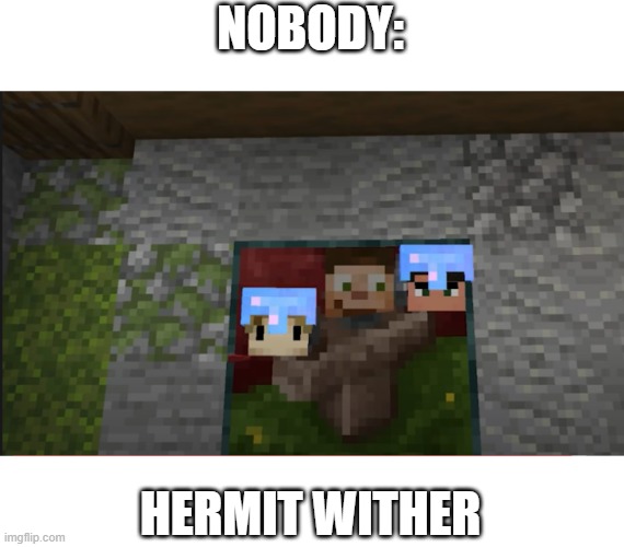 hermit wither (pls make viral) | NOBODY:; HERMIT WITHER | image tagged in hermit wither | made w/ Imgflip meme maker