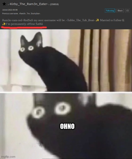 i'm w 0 r r i 3 d | OHNO | image tagged in oh no black cat | made w/ Imgflip meme maker