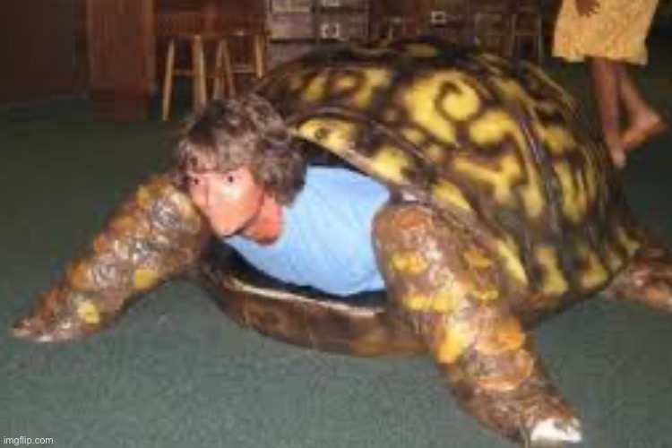 turtle boy :D my favorite super hero! | image tagged in funny,wtf,hah weird | made w/ Imgflip meme maker