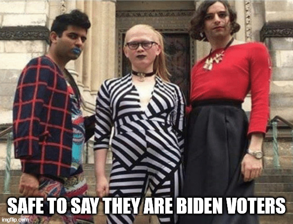 Biden Voters | SAFE TO SAY THEY ARE BIDEN VOTERS | image tagged in transgender,joe biden | made w/ Imgflip meme maker