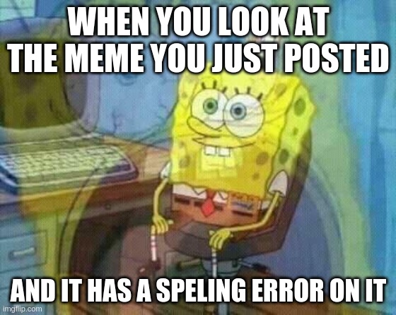 Worst. Feeling. Ever. | WHEN YOU LOOK AT THE MEME YOU JUST POSTED; AND IT HAS A SPELING ERROR ON IT | image tagged in spongebob panic inside | made w/ Imgflip meme maker
