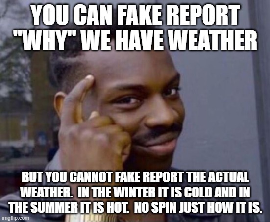 black guy pointing at head | YOU CAN FAKE REPORT "WHY" WE HAVE WEATHER; BUT YOU CANNOT FAKE REPORT THE ACTUAL WEATHER.  IN THE WINTER IT IS COLD AND IN THE SUMMER IT IS HOT.  NO SPIN JUST HOW IT IS. | image tagged in black guy pointing at head | made w/ Imgflip meme maker