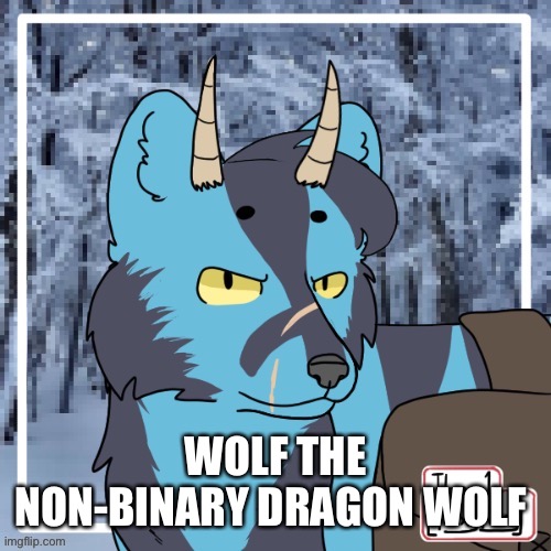 :3 | WOLF THE NON-BINARY DRAGON WOLF | made w/ Imgflip meme maker