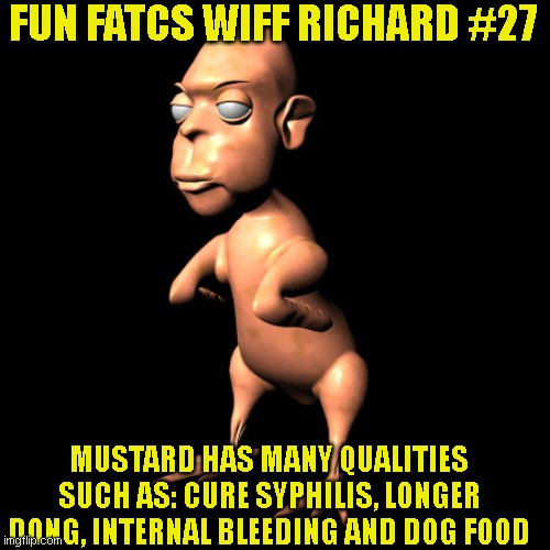 chyken man | FUN FATCS WIFF RICHARD #27; MUSTARD HAS MANY QUALITIES SUCH AS: CURE SYPHILIS, LONGER DONG, INTERNAL BLEEDING AND DOG FOOD | image tagged in chyken man | made w/ Imgflip meme maker
