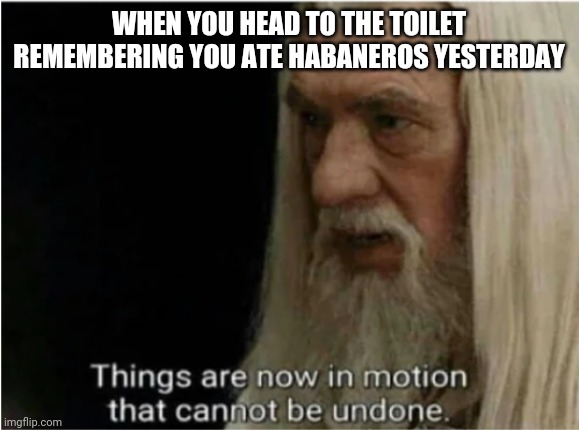 gandalf motion | WHEN YOU HEAD TO THE TOILET REMEMBERING YOU ATE HABANEROS YESTERDAY | image tagged in gandalf motion | made w/ Imgflip meme maker