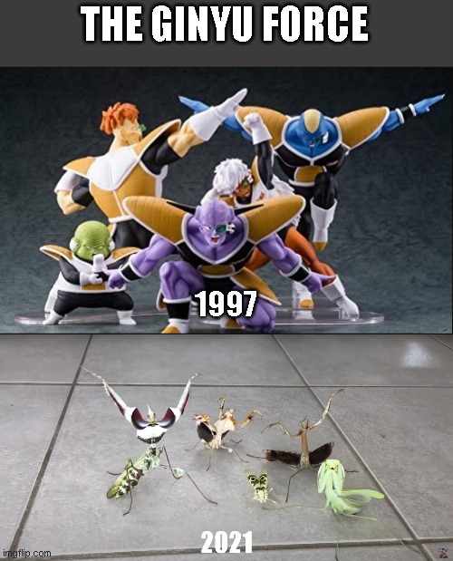 The "Ginyu Force" Through The Years... | THE GINYU FORCE; 1997 | image tagged in dragon ball z,dbz meme,funny,humor,funny animals,nature | made w/ Imgflip meme maker