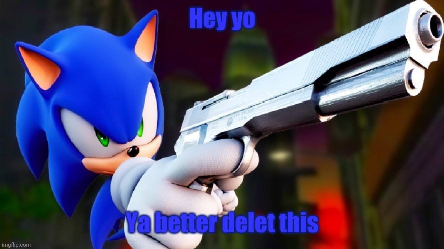 Sonic with a gun | Hey yo Ya better delet this | image tagged in sonic with a gun | made w/ Imgflip meme maker