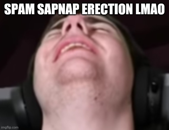 sapnap erection | SPAM SAPNAP ERECTION LMAO | image tagged in sapnap erection | made w/ Imgflip meme maker