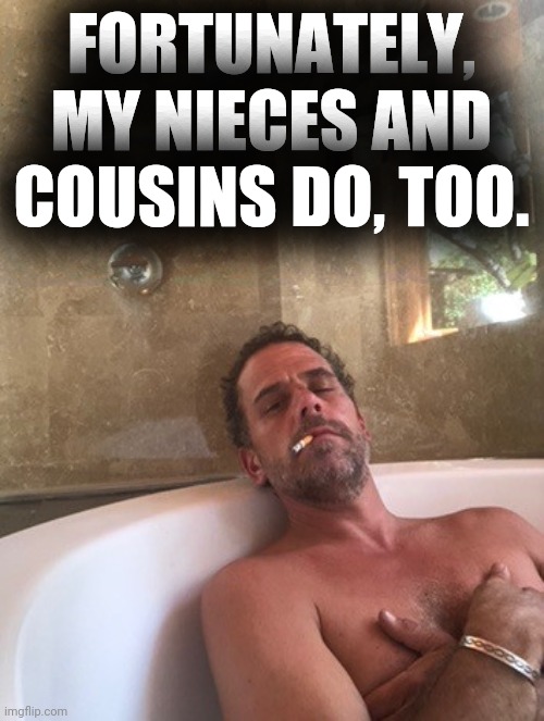 Hunter Biden | FORTUNATELY, MY NIECES AND COUSINS DO, TOO. | image tagged in hunter biden | made w/ Imgflip meme maker