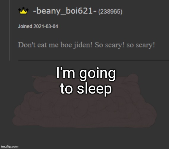 beany | I'm going to sleep | image tagged in beany | made w/ Imgflip meme maker