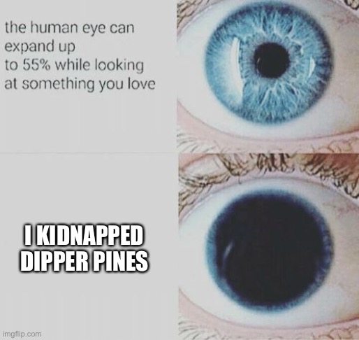 Eye pupil expand | I KIDNAPPED DIPPER PINES | image tagged in eye pupil expand | made w/ Imgflip meme maker