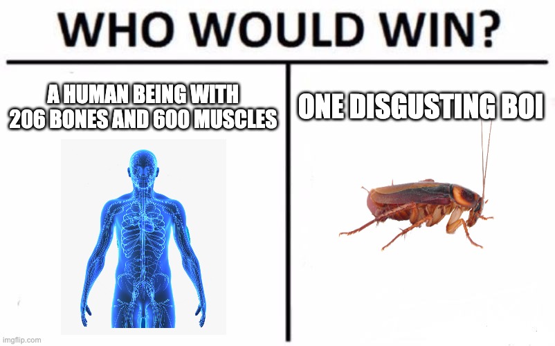 qwertyuiopasdfghjklzxcvbnm | A HUMAN BEING WITH 206 BONES AND 600 MUSCLES; ONE DISGUSTING BOI | image tagged in memes,who would win | made w/ Imgflip meme maker