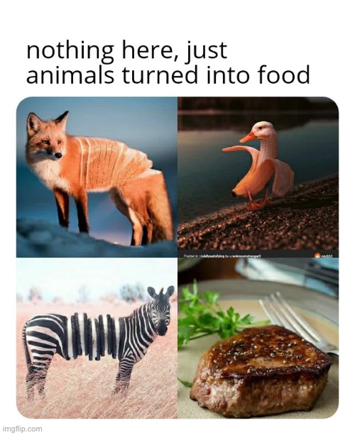 Wow | image tagged in animal,food | made w/ Imgflip meme maker
