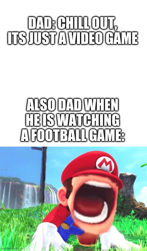 DAD: CHILL OUT,
ITS JUST A VIDEO GAME; ALSO DAD WHEN HE IS WATCHING A FOOTBALL GAME: | image tagged in memes,mario screaming,video games,dad,nfl football,oh wow are you actually reading these tags | made w/ Imgflip meme maker