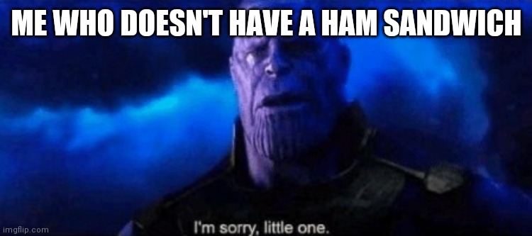 Im sorry little one | ME WHO DOESN'T HAVE A HAM SANDWICH | image tagged in im sorry little one | made w/ Imgflip meme maker