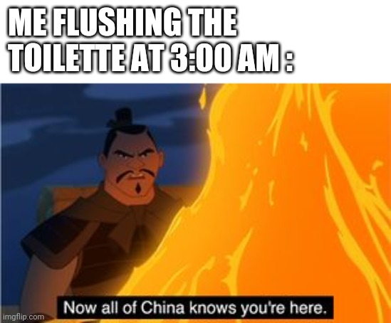 Me at night | ME FLUSHING THE TOILETTE AT 3:00 AM : | image tagged in now all of china know you're here | made w/ Imgflip meme maker