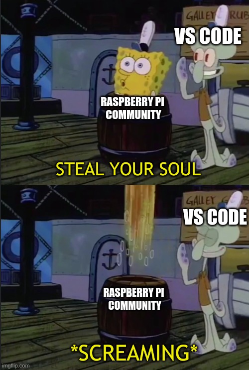 Steal your soul | VS CODE; RASPBERRY PI 
COMMUNITY; STEAL YOUR SOUL; VS CODE; RASPBERRY PI 
COMMUNITY; *SCREAMING* | image tagged in steal your soul,spongebob,raspberry pi,vs code | made w/ Imgflip meme maker