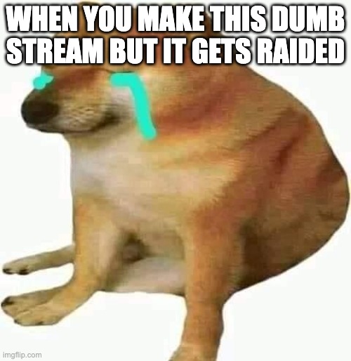cheems crying | WHEN YOU MAKE THIS DUMB STREAM BUT IT GETS RAIDED | image tagged in cheems crying | made w/ Imgflip meme maker